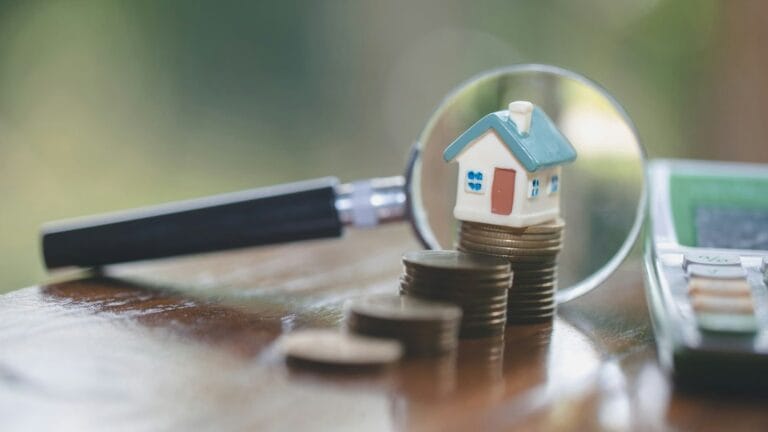 Quel Revenu Pour Exoneration Taxe Fonciere