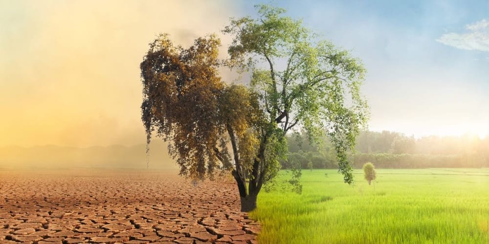 Illustration comparative paysage vert et aride