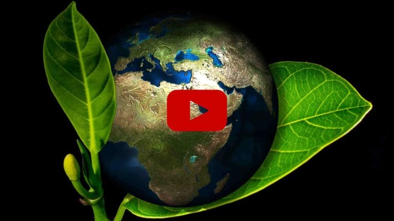 Loi Climat Et Resilience