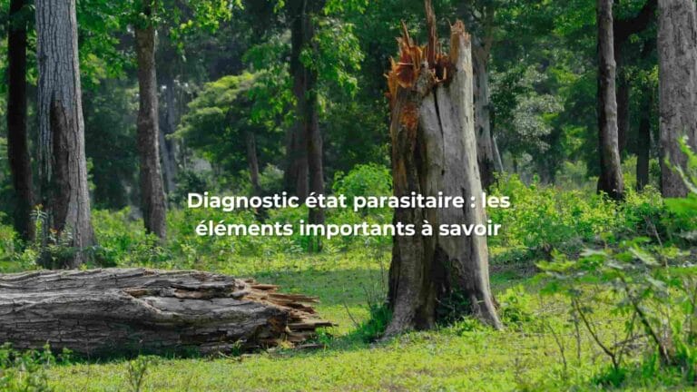 Diagnostic Etat Parasitaire